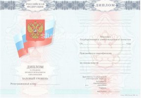 Диплом техникума 2007-2010 в Ноябрьске
